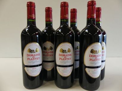 null 6 bouteilles Domaine du Plantey Castillon Côtes de Bordeaux Propriétaire Bertoni...