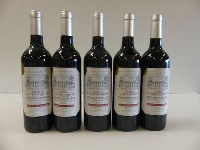 null 5 bouteilles de Château Canteloudette Bordeaux Supérieur Eric Pelotin Maison...