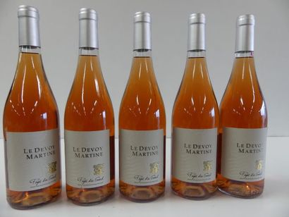 null 5 bouteilles du Pays du Gard Rosé, Le Devoy la Martine, 2015