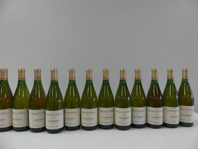 null 12 bouteilles de Jasnières Domaine des Molières Vin de Loire Blanc Sec 1999...