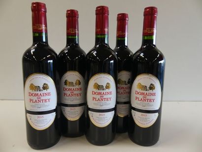 null 6 bouteilles de Domaine du Plantey, Castillon Côtes de Bordeaux, Christian Bertoni,...