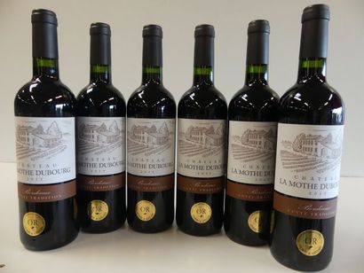 null 6 bouteilles de Château La Mothe Dubourg, Cuvée Tradition, Médaille d'Or, Bordeaux,...