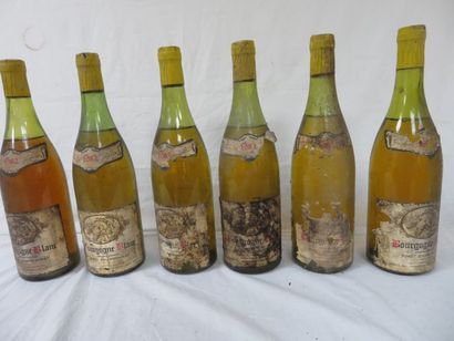 null 6 bouteilles de Bourgogne Blanc, Pinot Chardonnay, Colbois, 1982. (ea, B)