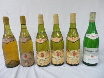 null Lot de 6 bouteilles de Bourgogne Aligoté : 1 de 1985 (Yves Chaley), 1 de 1982...
