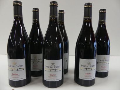null 6 bouteilles de Saumur Rouge, Cabernet Franc, Le Pont des Cadets, 2013