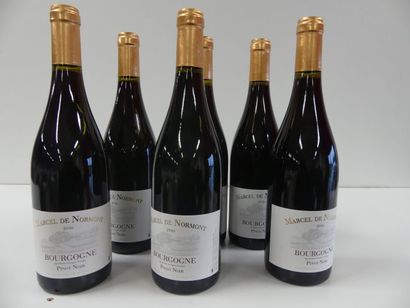 null 6 bouteilles de Bourgogne Pinot Noir, Marcel de Normont, 2016