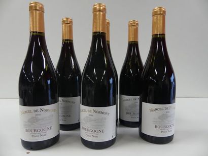 null 6 bouteilles de Bourgogne Pinot Noir, Marcel de Normont, 2016