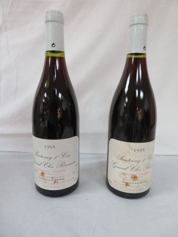 null 2 bouteilles de Santenay Premier Cru, 1995 (elsa)