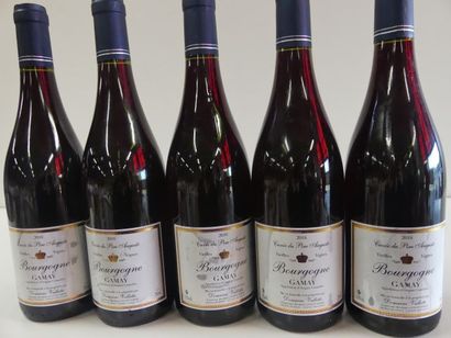 null 5 bouteilles de Bourgogne Rouge, Domaine Valette Récoltant, Vieilles Vignes,...