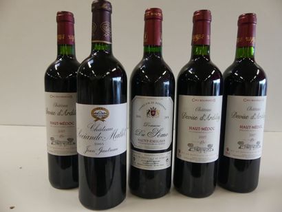 null Lot de 5 bouteilles : 1 Sociando Mallet Haut Médoc 2003 ; 3 Château Les Ardilleys...