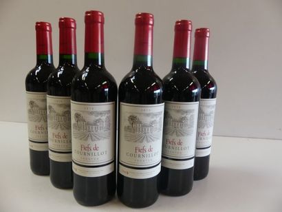 null 6 bouteilles de Frontonnais, Le Fief de Cornillots, 2015