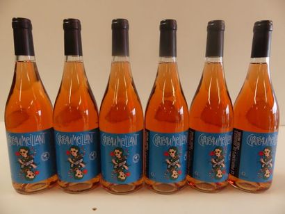 null 6 bouteilles de Chateaumeillant Rosé, AOC, situé proche Sancerre, 2016