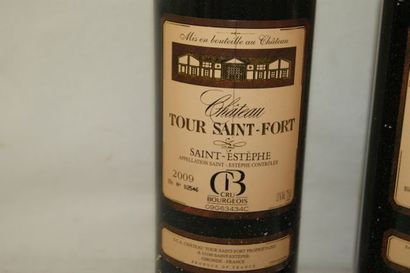 null 3 bouteilles de Saint-Estèphe, Château Tour Saint Fort, 2009
