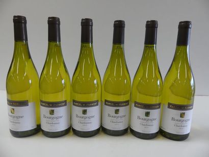 null 6 bouteilles de Bourgogne Blanc, Chardonnay Marcel de Normont, 2015