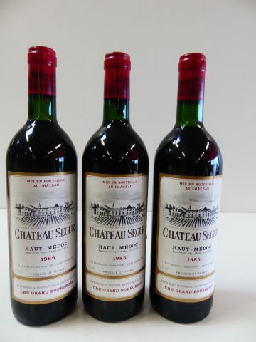 null 3 bouteilles de Château Ségur, Haut Médoc, Grand Cru Bourgeois, 1985
