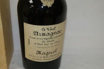 null Magnum (1,5 L) d'Armagnac Magnol. Dans a boîte.