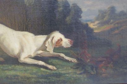 null Ecole française du XIXe siècle "Chien de chasse" Huile sur toile. 41 x 66 cm...