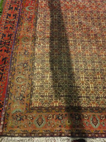 null Tapis Bijar en laine, à décor de végétaux stylisés polychrome sur fon beige....