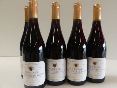 null 5 bouteilles de Bourgogne Hautes Côtes de Beaune Henri de Bareuil 2015