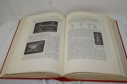 null Camille FLAMMARION "L'Astronomie populaire" Paris, Flammarion, 1975.