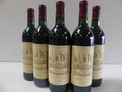 null 5 bouteilles de Château Ricaud 1ères Côtes de Bordeaux Millésime 2000