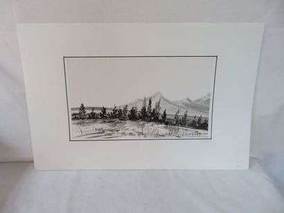 null GRILLON "Paysage vallonné" Lithographie en noir. Signée dans la planche. 18...