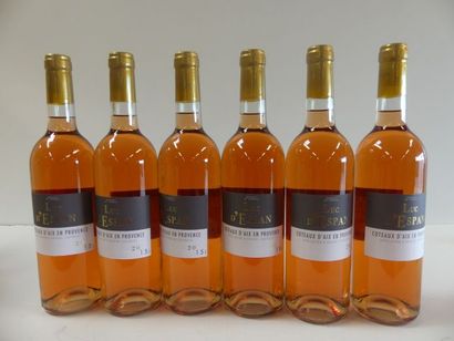 null 6 bouteilles de Provence Rosé le Luc D'Espan Côteaux d'Aix en Provence 2015