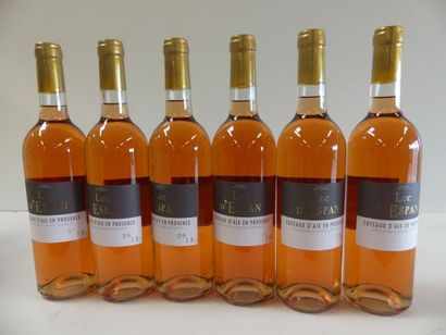 null 6 bouteilles de Provence Rosé le Luc D'Espan Côteaux d'Aix en Provence 2015