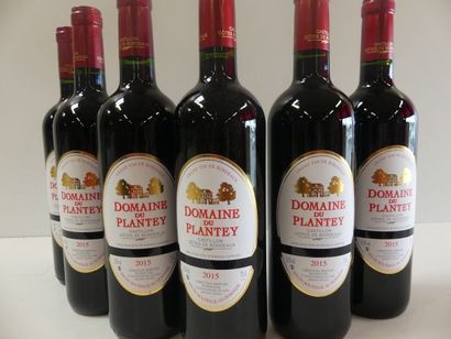 null 6 bouteilles de Domaine du Plantey Côtes de Castillon 2015