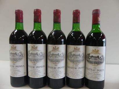 null 5 bouteilles de Saint Estèphe Château Pomys Cru Bourgeois 1985 Vignoble Arn...