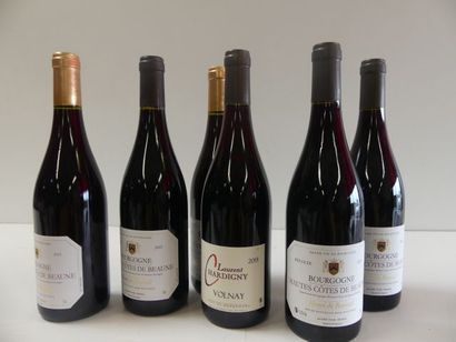 null Lot de 6 bouteilles : 1 Volnay Laurent de Chardigny Bourgogne 2015 ; 5 Bourgogne...