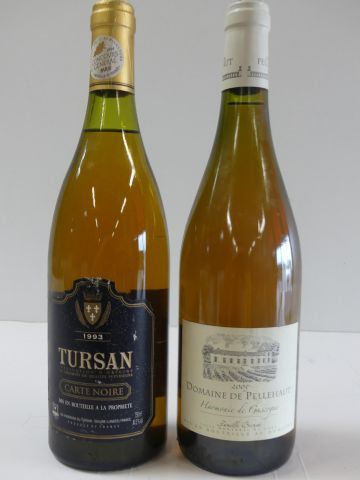 null Lot de 2 bouteilles : 1 Domaine de Pellehaut L'Harmonie de Gascogne Blanc famille...