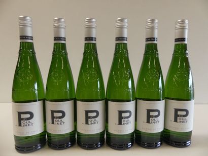null 6 bouteilles de Picpoul de Pinet, 2016