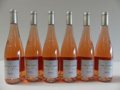 null 6 bouteilles de Saumur Rosé sec, le Pont des Cadets, 2017