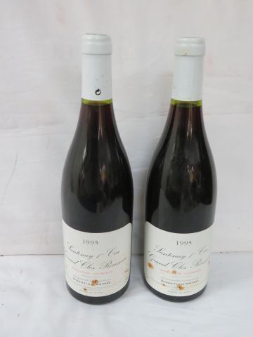 null 2 bouteilles de Santenay Premier Cru, Grand Clos Rousseau, 1995. (els)