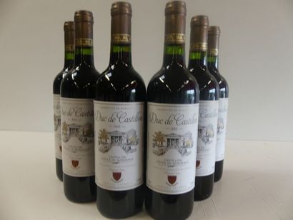 null 6 bouteilles de Côtes de Castillon Château Fauroux le Duc de Castillon 2015