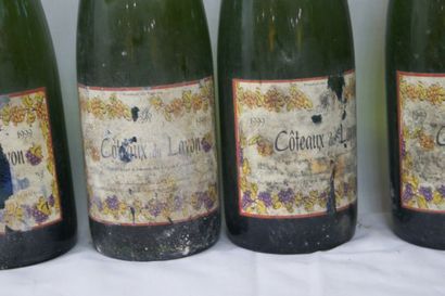 null 7 bouteilles de Côteaux du Layon, 1999. (esa)