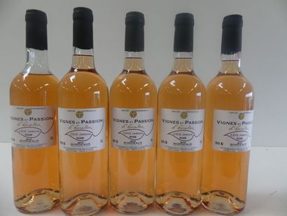 null 5 Bouteilles Bordeaux, Rosé, Vignes et Passions, l'Excellor 2015