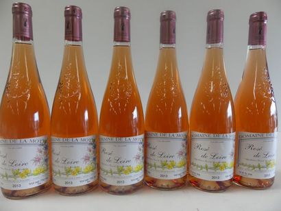 null 6 bouteilles de Domaine de la Motte Rosé de Loire EARL Sorin 2013