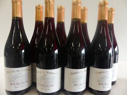 null 9 bouteilles de Bourgogne Pinot Noir Marcel de Normont 2016