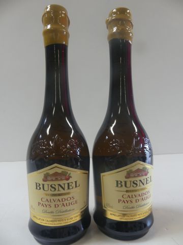 null 2 bouteilles de Calvados Double Distillation E. Busnel 40 % vol 70 cl