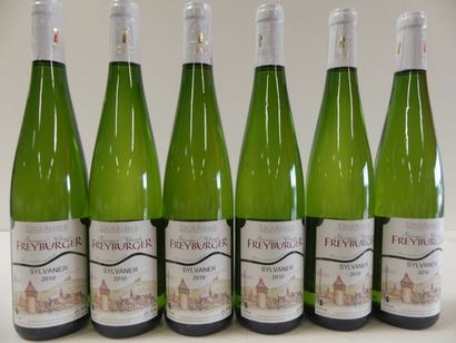 null 6 bouteilles de Sylvaner 2010 Alsace Domaine Georges Freyburger Récoltant