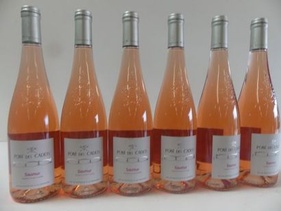 null 6 bouteilles de Saumur Rosé Sec 2017 Le Pont des Cadets Récoltant