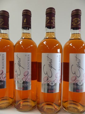 null 10 bouteilles de Rosé 2014 Château de Maouries Côtes de Gascogne Rosé Sec