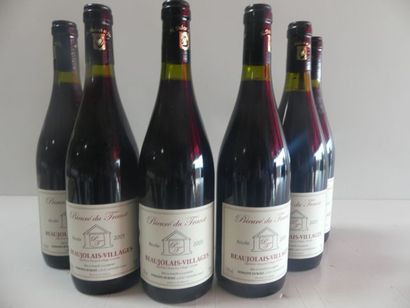 null 6 bouteilles Domaine du Tracot 2005 Domaine Dubost Beaujolais Villages Réco...