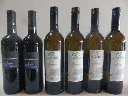 null Lot de 6 bouteilles : 4 Sauvignon Blanc 2015 Les Hauts de Senaux Les Caves de...
