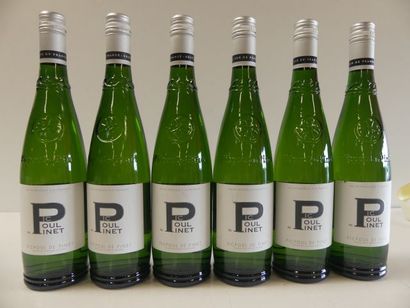 null 6 bouteilles de Picpoul de Pinet 2016