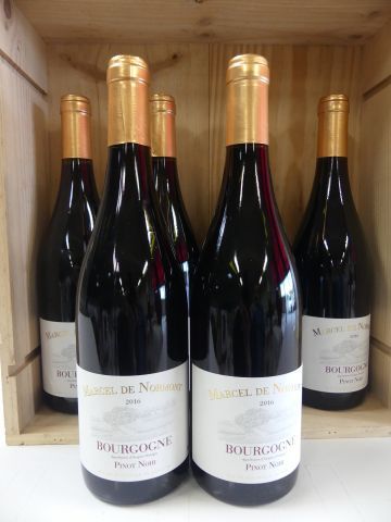 null 6 bouteilles de Bourgogne Pinot Noir 2016 Marcel de Normont
