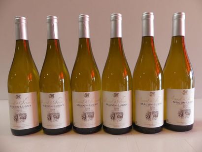 null 6 bouteilles de Bourgogne Macon Lugny Marcel de Normont 2015
