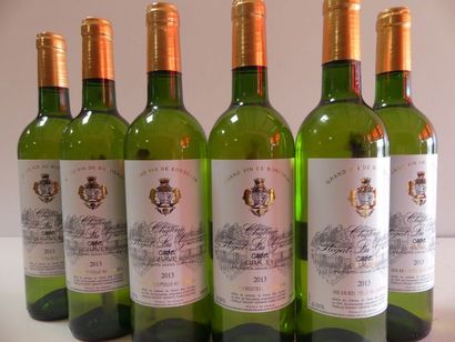 null 6 bouteilles de Château Plégat La Gravière 2013 - Le Cadet AOC Graves Blanc...